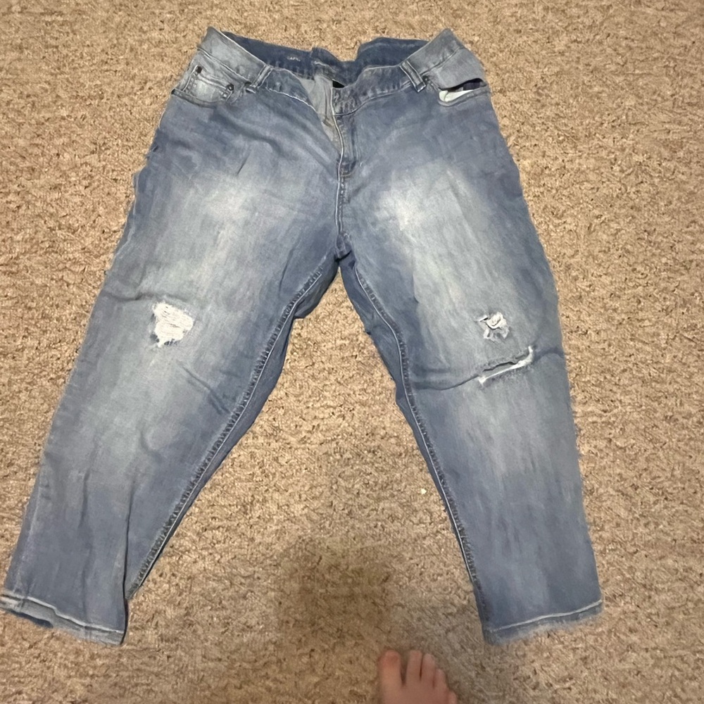 Lane Bryant Blue Denim Capri Pants 18W Distressed